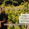 Piknik Trzech Winnic na Jurze już 8 sierpnia. Połączenie lokalnych smaków, muzyki i jurajskiej przyrody