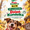Dzień Kundelka. Pokaż swojego czworonożnego przyjaciela i poznaj podopiecznych zawierciańskiego schroniska!